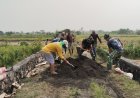 TPT TMMD Gresik Capai 80 Persen, Semangat Gotong Royong Warga dan TNI Kian Kokoh