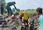 Satgas TMMD Kodim 0817/Gresik dan Warga Slempit Bergelut Lumpur Bangun Jalur Irigasi Demi Masa Depan Petani 